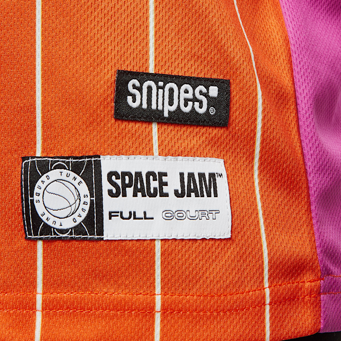 SNIPES Space Jam: A New Legacy Logo Character Pinstripe Mesh Tee multicolor 2886 5