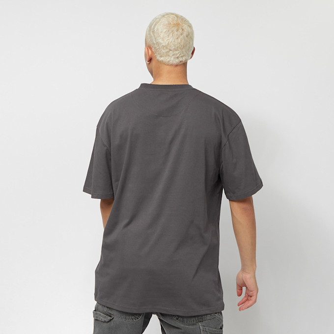 Karl Kani Small Signature Tee grau 6292 2