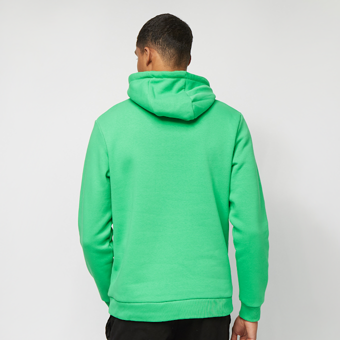 SNIPES Small Logo Essential Hoodie grün 9661 2