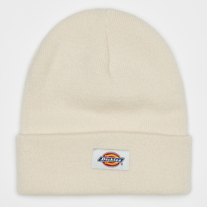 Dickies Gibsland Beanie beige 11203 1