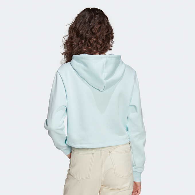 adidas Originals Essentials Hoodie blauw 10270 2