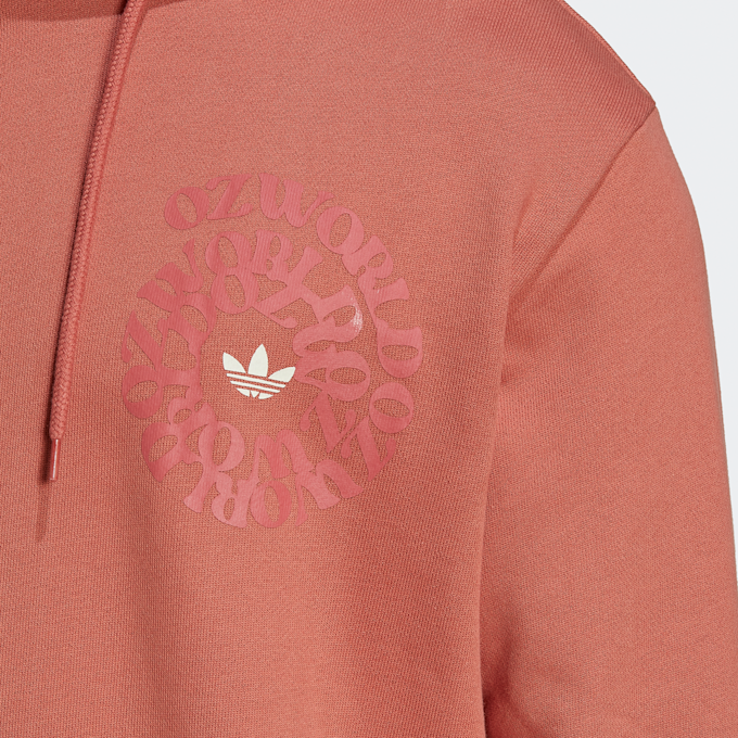 adidas Originals Ozworld Hoodie marrone 15963 3