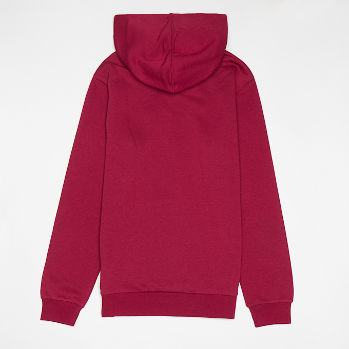 Champion Hooded Sweatshirt rot 16000 2