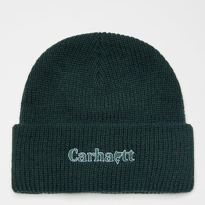 Carhartt WIP Pond Beanie grün 16197 1