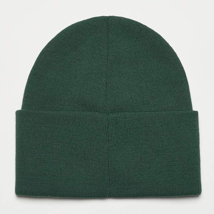 Champion Rochester Beanie Cap verde 16269 2