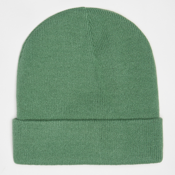 Dickies Gibsland Beanie verde 17344 2