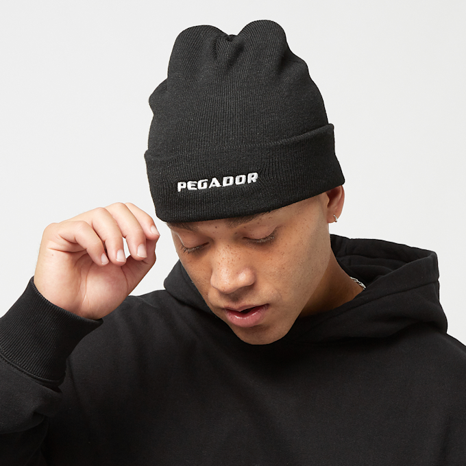 Pegador Logo Beanie schwarz 14277 4