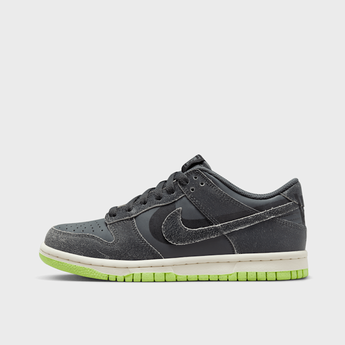 Nike Dunk Low SE (GS) szary 15017 1