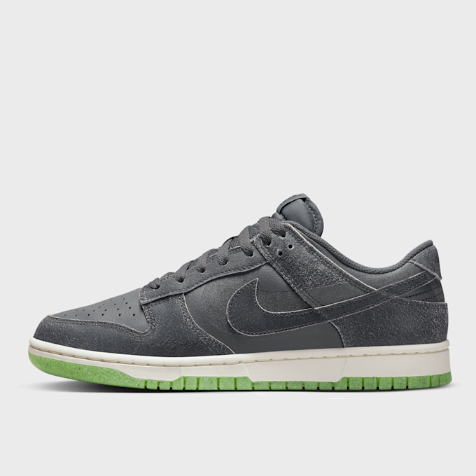 Nike Dunk Low Retro PRM gris 15270 1