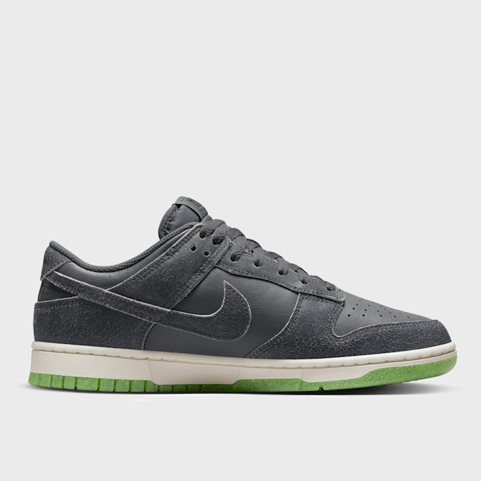Nike Dunk Low Retro PRM gris 15270 2