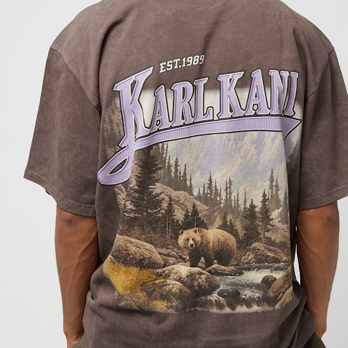 Karl Kani Small Signature Washed Heavy Jersey Landscape Tee braun 26594 4