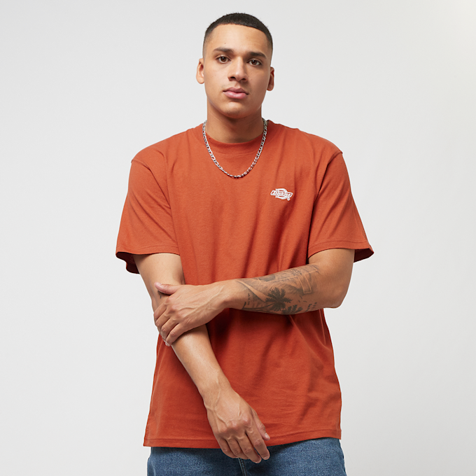 Dickies Summerdale Tee Ss orange 26867 1