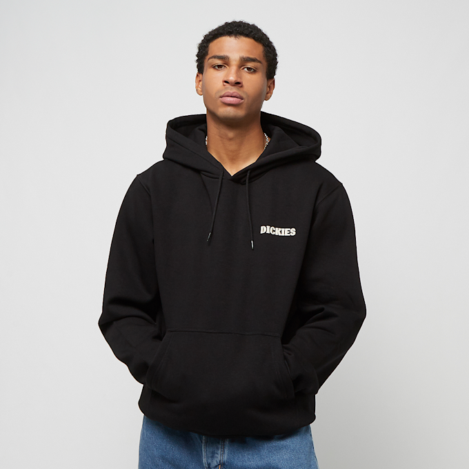 Dickies Hays Hoodie noir 26895 2
