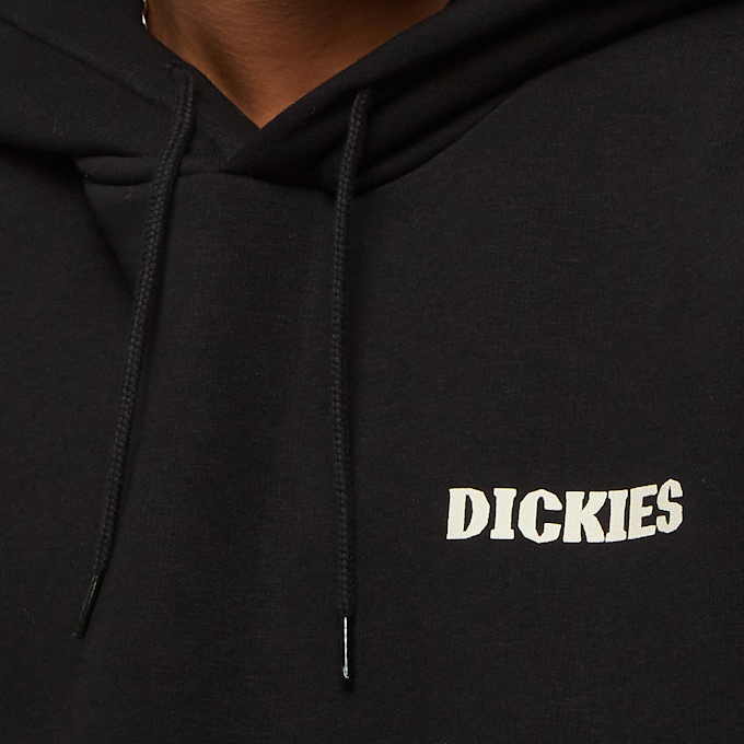 Dickies Hays Hoodie schwarz 26895 3