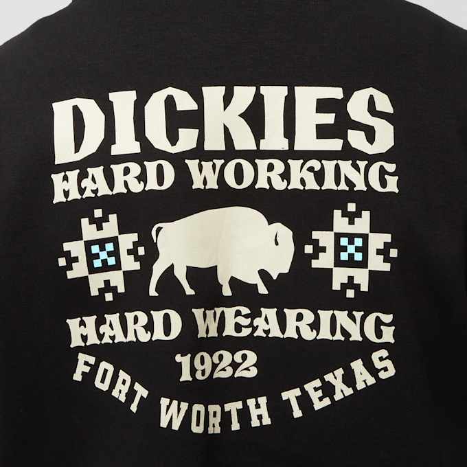 Dickies Hays Hoodie noir 26895 4