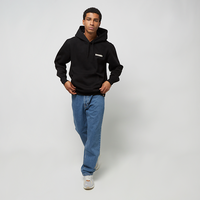 Dickies Hays Hoodie noir 26895 5