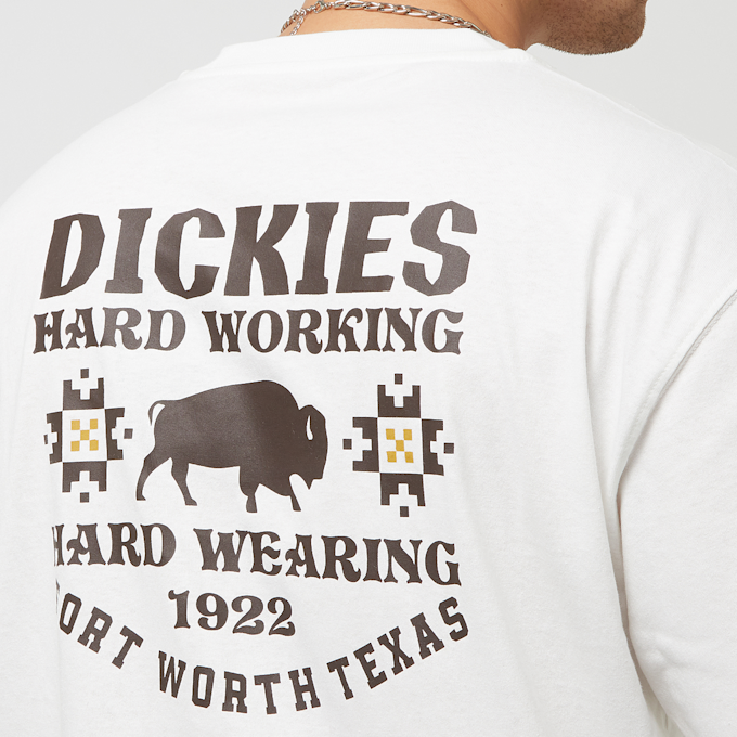 Dickies Hays Tee Shortsleeve blanc 26896 4