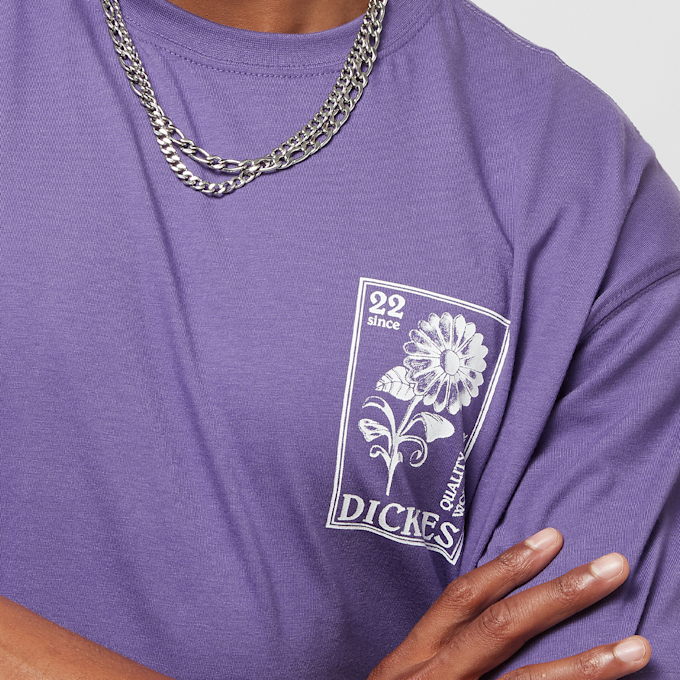 Dickies GARDEN PLAIN TEE SS imperial palace negro 27047 3