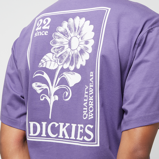 Dickies GARDEN PLAIN TEE SS imperial palace negro 27047 4