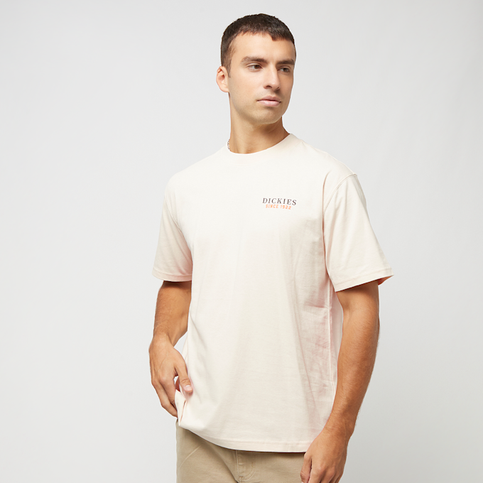 Dickies Westmoreland Tee Short Sleeve weiß 27069 2
