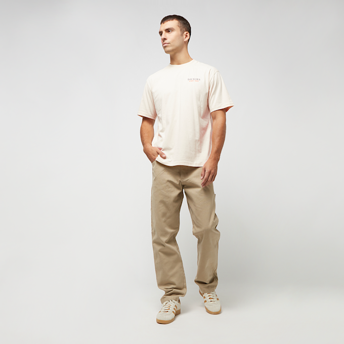 Dickies Westmoreland Tee Short Sleeve weiß 27069 5