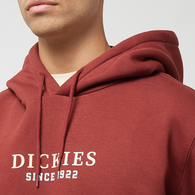 Dickies Park Hoodie rot 27077 3