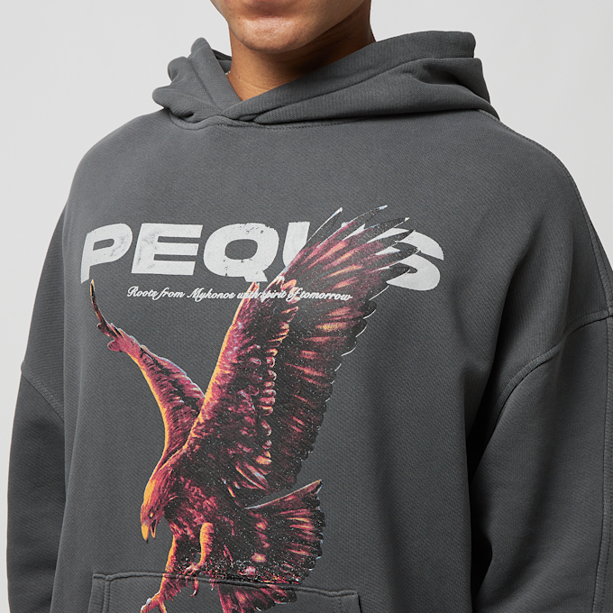 PEQUS Eagle Graphic Hoodie noir 27964 3