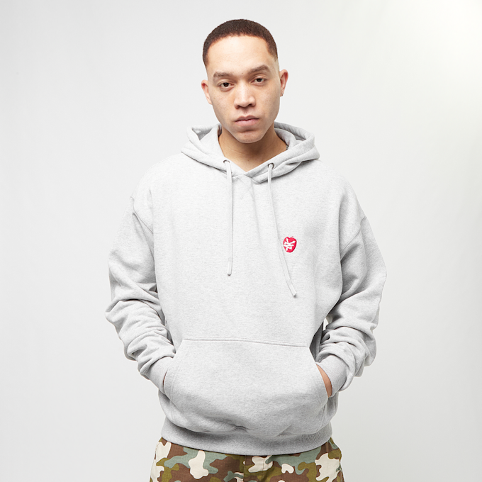Zoo York Apple Hoody grau 22912 1
