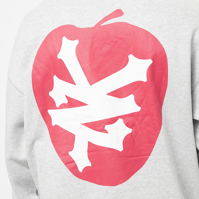 Zoo York Apple Hoody grau 22912 4