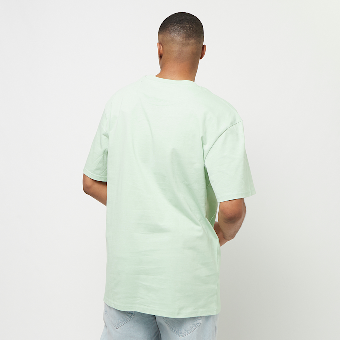 Karl Kani Small Signature Essential Tee vert 23210 2