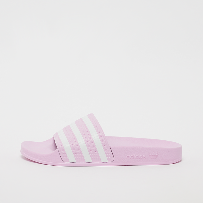 adidas Originals Ciabatte adilette W viola 23511 1