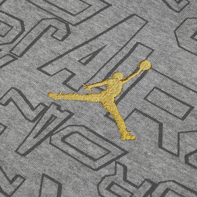 Jordan Take Flight All Over Print Hoodie cinzento 23770 3
