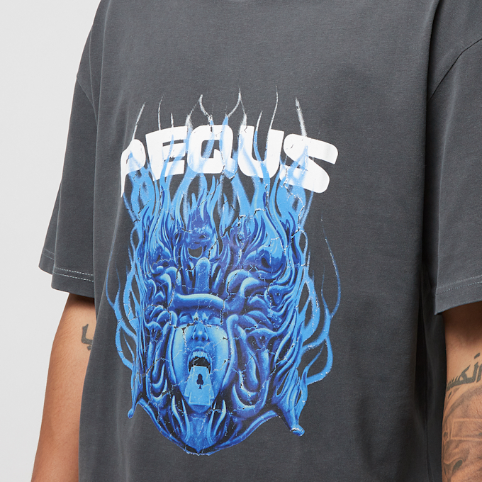PEQUS Medusa Graphic T-Shirt szary 24428 3