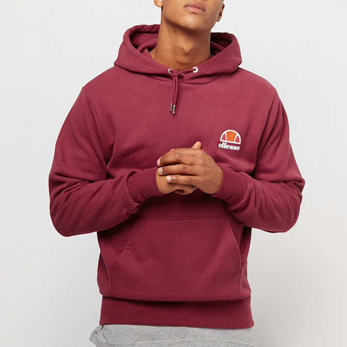 PEQUS Medusa Graphic Hoodie gris 24433 5