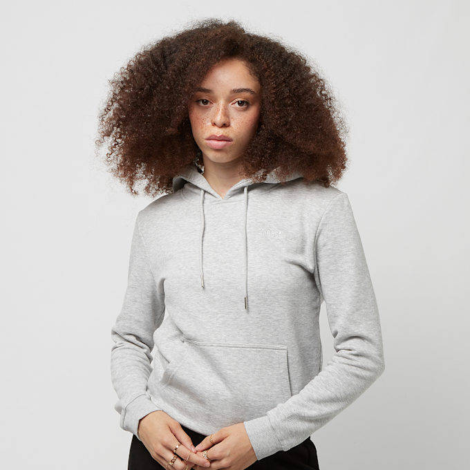SNIPES Small Logo Hoodie cinzento 24696 1