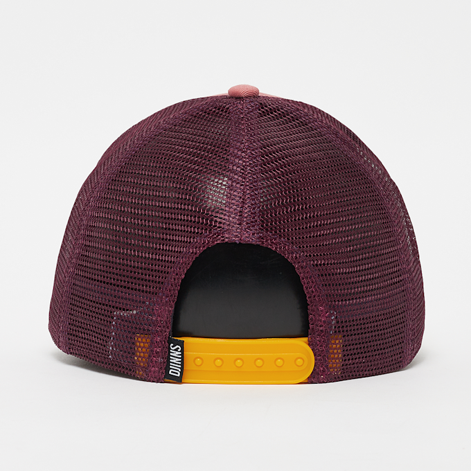 DJINNS HFT Cap Food Oysters multicolore 24878 2