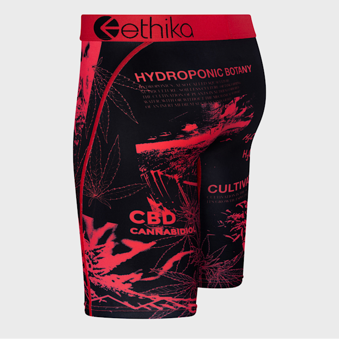Ethika Higher E.D. multicolor 24909 2