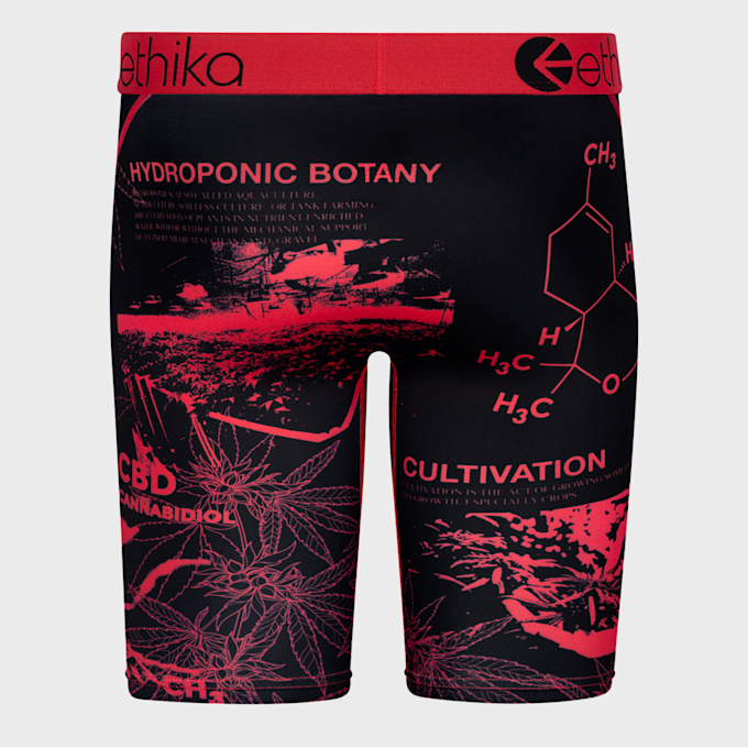 Ethika Higher E.D. multicolor 24909 3