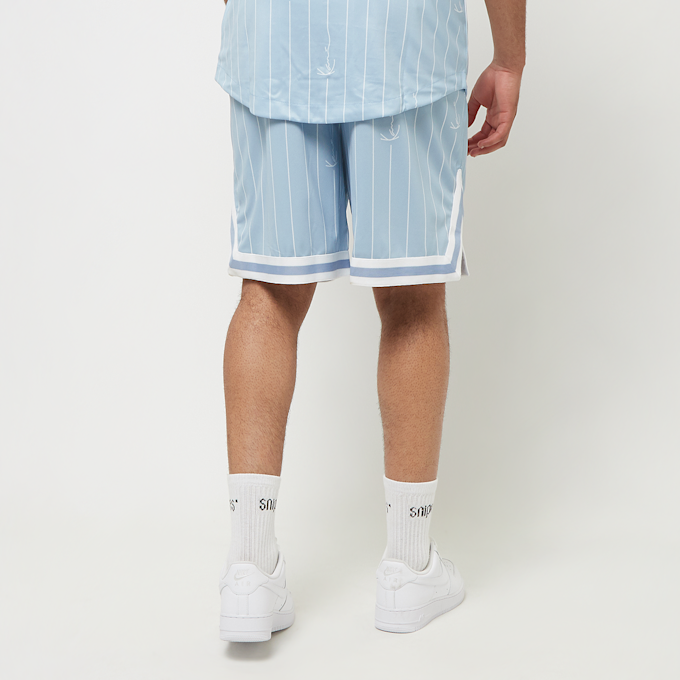 Karl Kani Small Varsity Logo Pinstripe Mesh Shorts bleu 28642 2