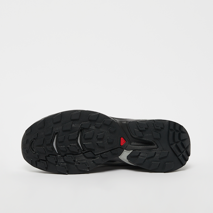 Salomon XT-Wings 2 gris 28734 4