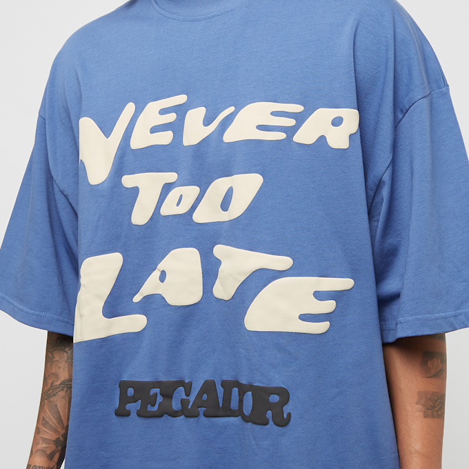 Pegador Danico Boxy Tee blu 29200 3