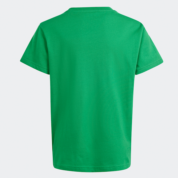 adidas Originals adicolor Big Trefoil T-Shirt vert 30165 2