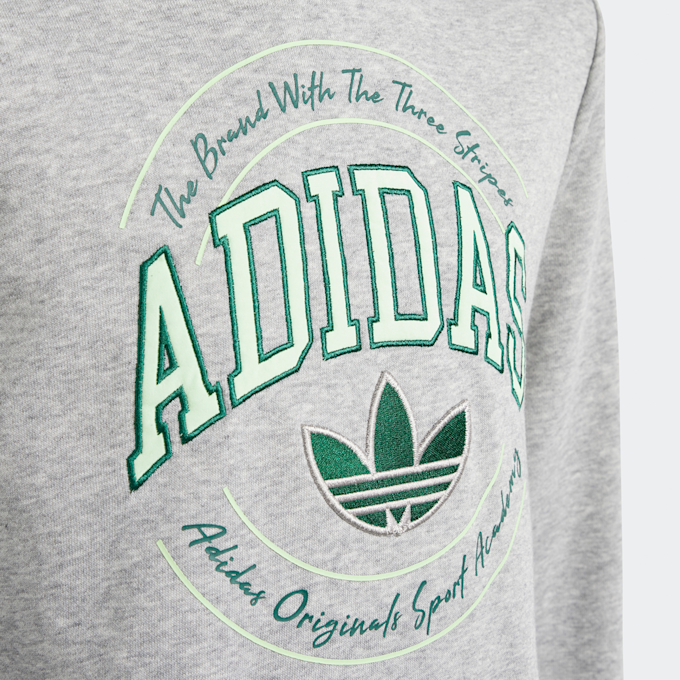 adidas Originals Sweat à Capuche Varsity gris 30167 3