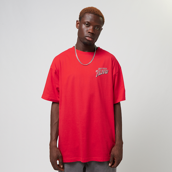 Zoo York Dark Tee rot 30184 2