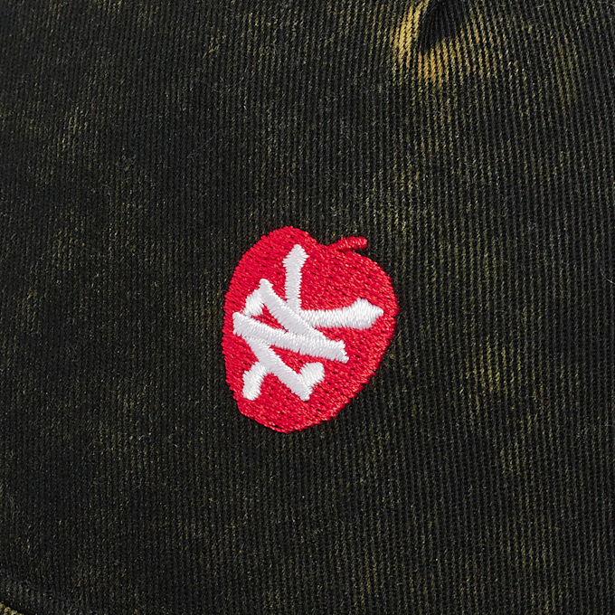 Zoo York Apple Dad Cap zwart 30249 4