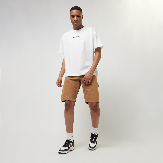 Dickies Duck Canvas Short marrón 30596 5