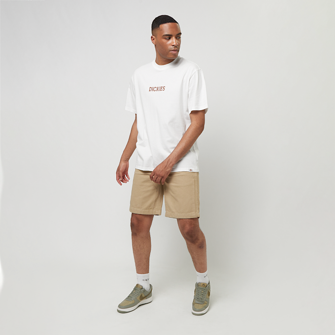 Dickies Patrick Springs Shortsleeve Tee blanc 30601 5