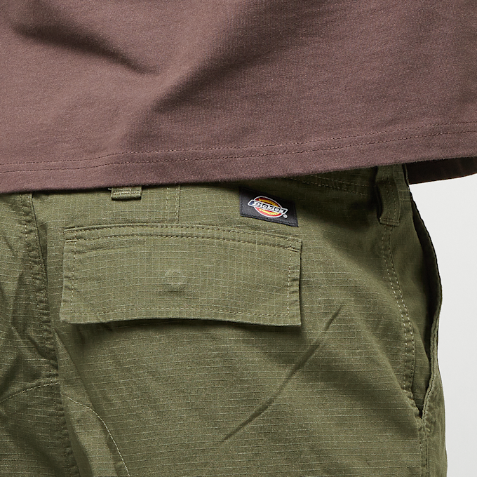 Dickies Eagle Bend verde 30657 3