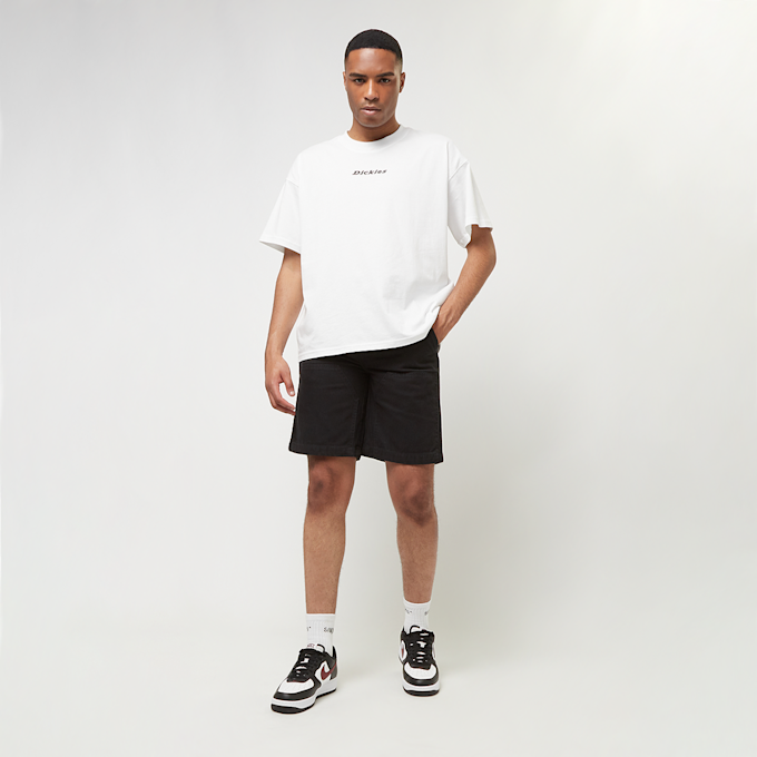 Dickies Duck Canvas Chap Short noir 30665 5