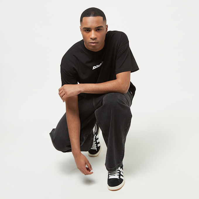 Dickies Enterprise Tee Shortsleeve nero 30669 4